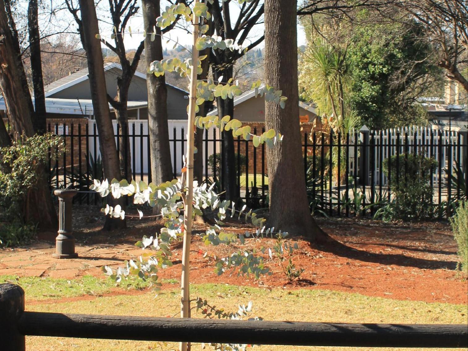 Wild Tree Lodge Benoni Exterior photo