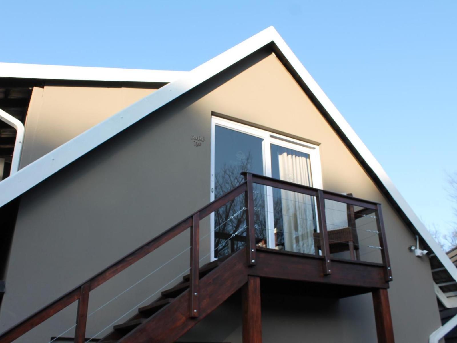 Wild Tree Lodge Benoni Room photo